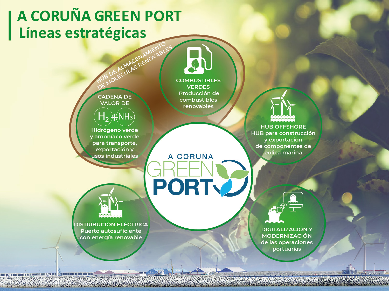 Green Port Strategic Lines